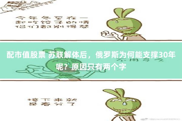 配市值股票 苏联解体后，俄罗斯为何能支撑30年呢？原因只有两个字