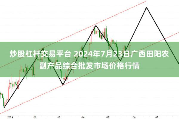 炒股杠杆交易平台 2024年7月23日广西田阳农副产品综合批发市场价格行情