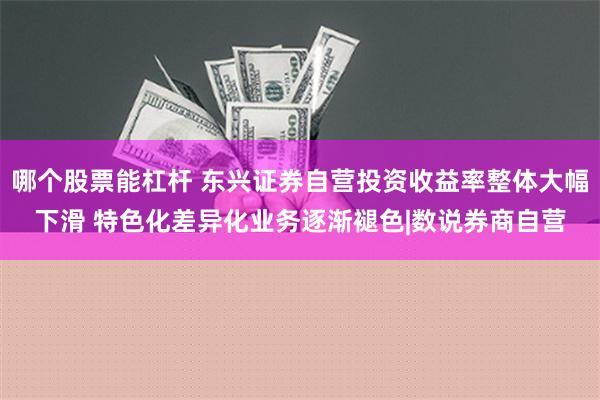 哪个股票能杠杆 东兴证券自营投资收益率整体大幅下滑 特色化差异化业务逐渐褪色|数说券商自营