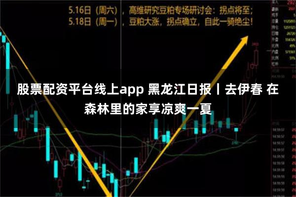 股票配资平台线上app 黑龙江日报丨去伊春 在森林里的家享凉爽一夏