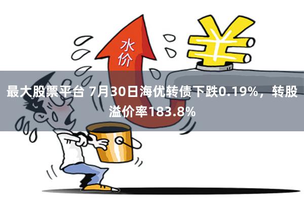 最大股票平台 7月30日海优转债下跌0.19%，转股溢价率183.8%