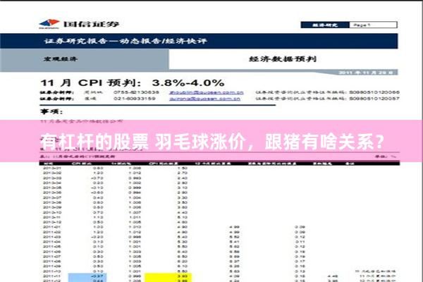 有杠杆的股票 羽毛球涨价，跟猪有啥关系？