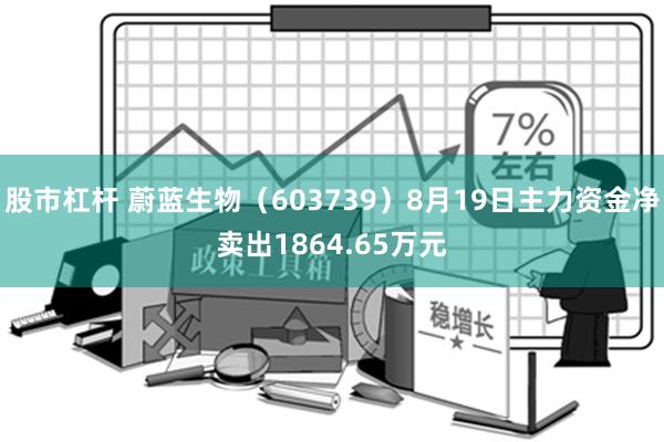 股市杠杆 蔚蓝生物（603739）8月19日主力资金净卖出1864.65万元