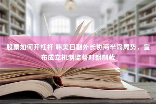 股票如何开杠杆 韩美日副外长协商半岛局势，宣布成立机制监督对朝制裁