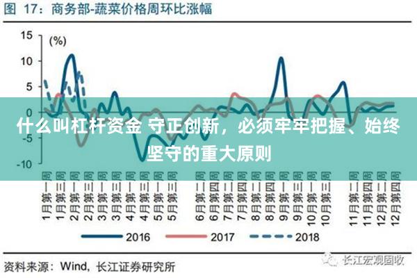 什么叫杠杆资金 守正创新，必须牢牢把握、始终坚守的重大原则