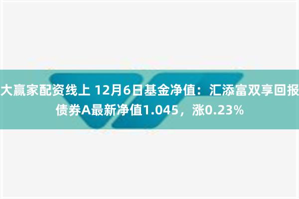 大赢家配资线上 12月6日基金净值：汇添富双享回报债券A最新净值1.045，涨0.23%