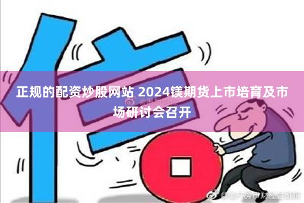 正规的配资炒股网站 2024镁期货上市培育及市场研讨会召开