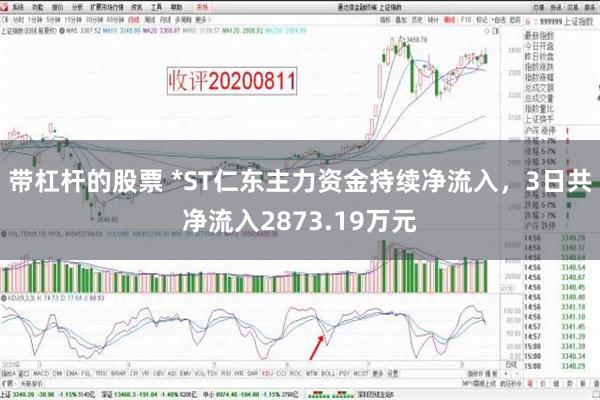 带杠杆的股票 *ST仁东主力资金持续净流入，3日共净流入2873.19万元